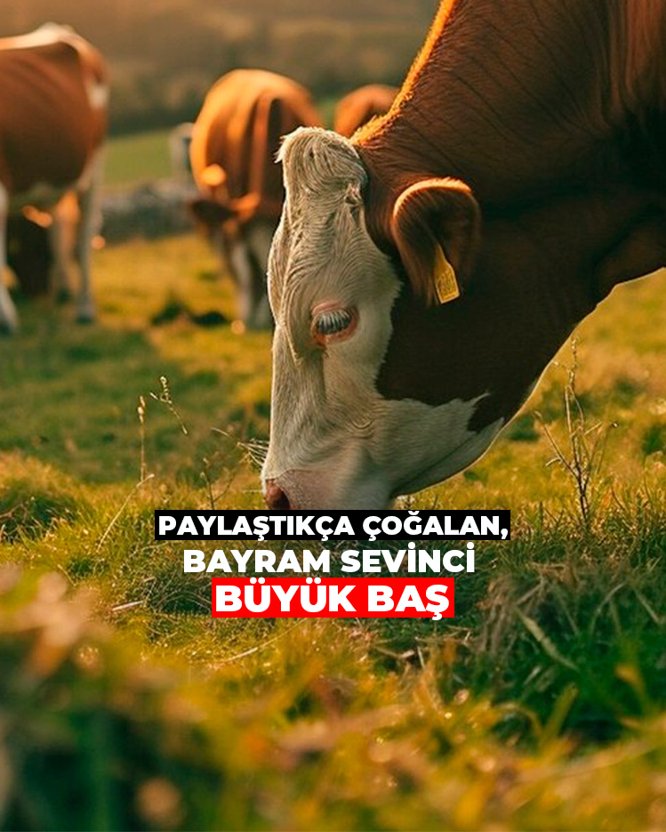 Büyük Baş Kurban