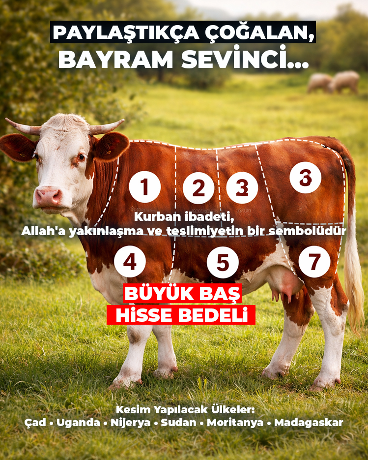Büyük Baş HİSSE BEDELİ