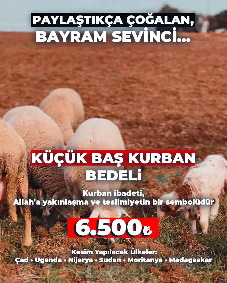 Küçük Baş Kurban